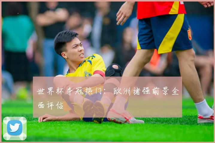 世界杯夺冠热门：欧洲诸强前景全面评估